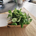 Salade mesclun & mâche